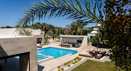 View of the outdoor pool and lounge area with a large palm bending across the length of the photo. 