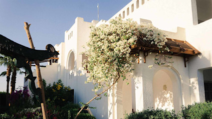 A white stucco luxury turnkey home with blooming flowers and warm natural light.
