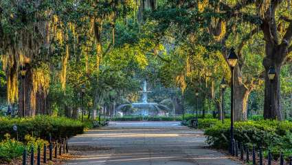 A fountain sits surrounded by Spanish moss covered trees in Savannah, one of the best spring break ideas for families.