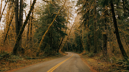 Quiet forest drives around Bend set the tone for unhurried days, from trailheads to tasting rooms.