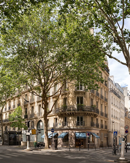 Tree-lined Parisian street corner with Haussmann buildings and cafes, mobile crop, Saint Germain listing