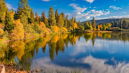 A grove of lakeside trees shows the warm colors of fall in California.