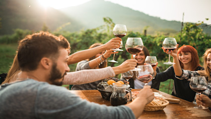 A group celebrating outdoors at a vineyard table, reflecting the festive and social atmosphere that defines luxury cultural experiences during summer art festivals.
