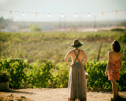 Showcases the stylish and celebratory nature of Del Mar season, evoking the fashionable gatherings and refined ambiance that make the event a summer staple.