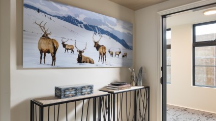 a large picture of elks on a wall