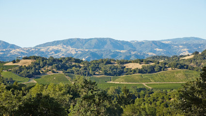 Views of mountains in Sonoma