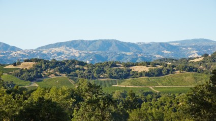 Views of mountains in Sonoma