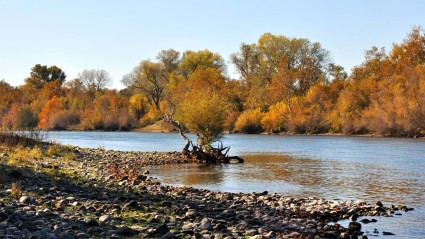 A photo of Sacramento, a great place to enjoy fall in California.