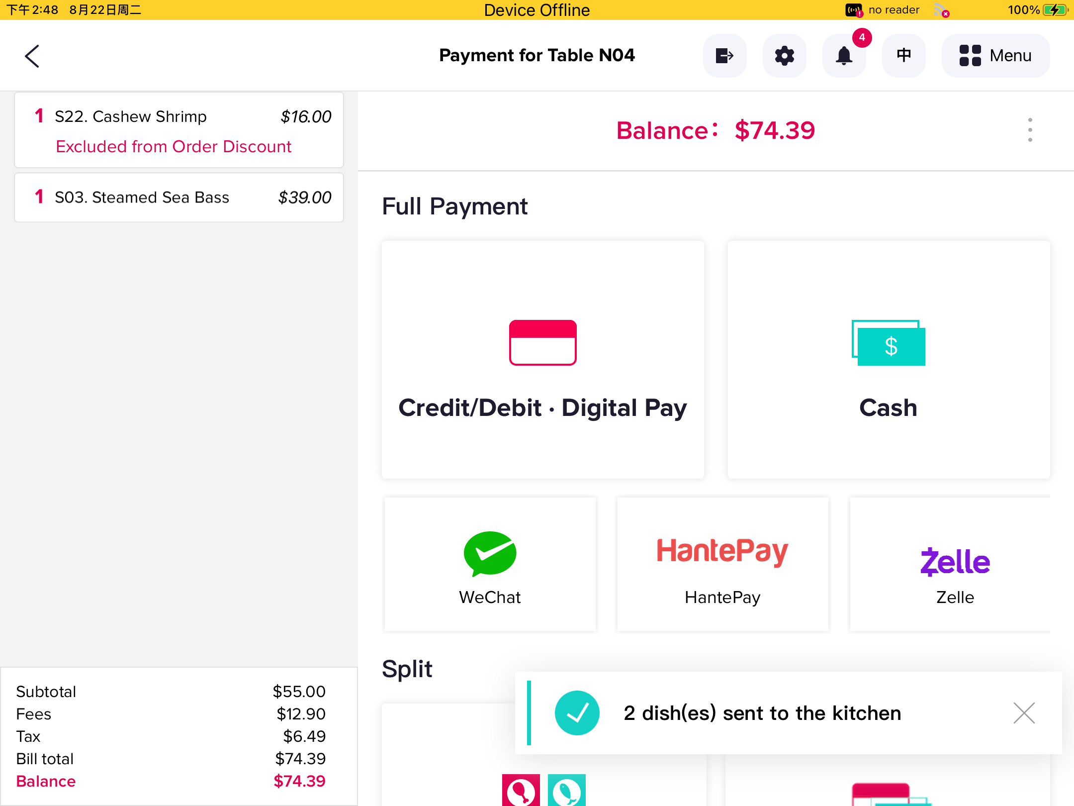 pos-offline-mode-payment-interface