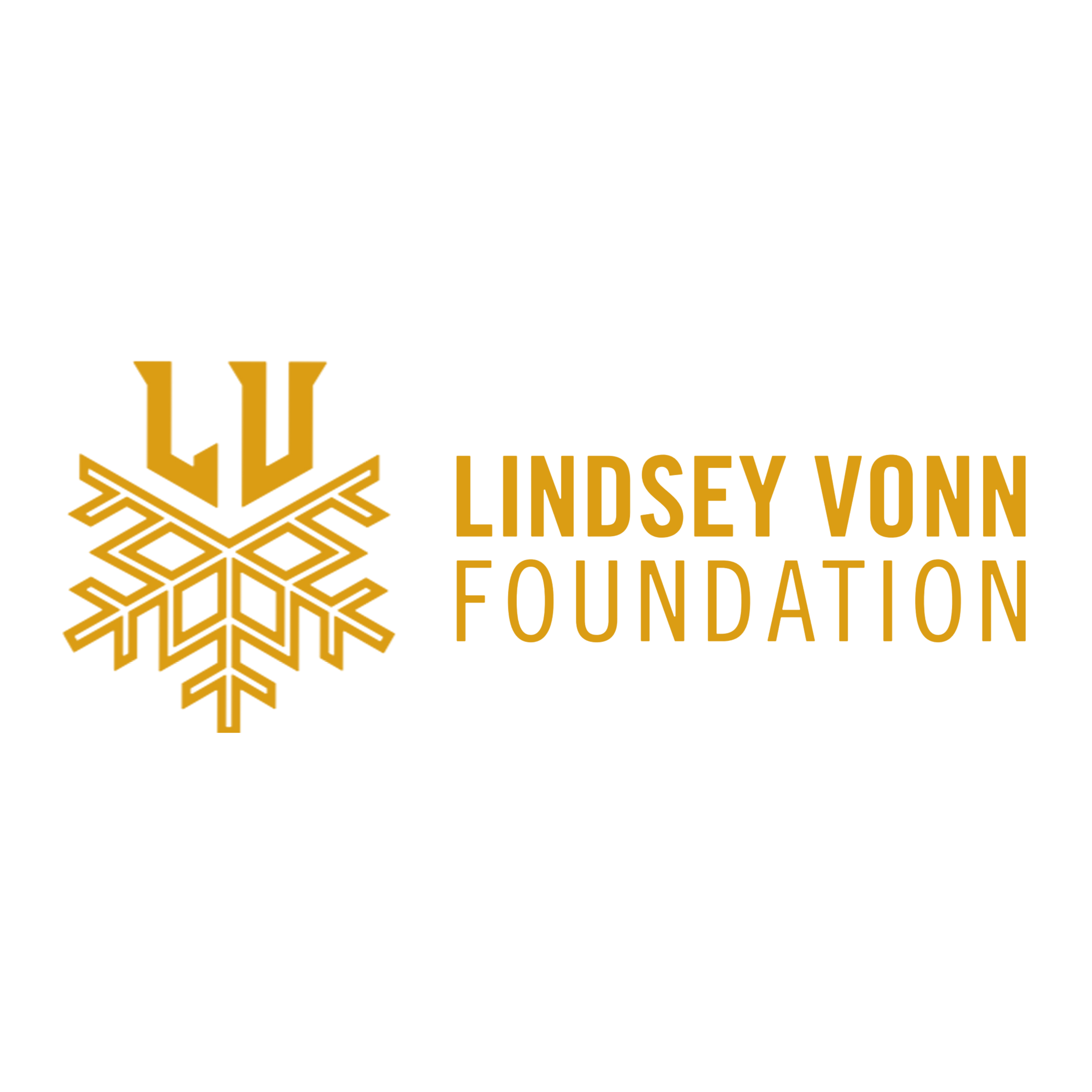 Lindsey Vonn Foundation Logo