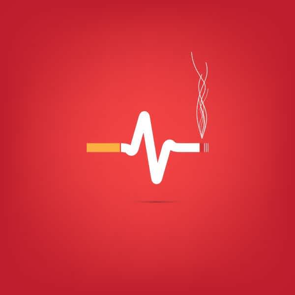 Pets At Risk From Passive Smoking