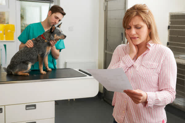 veterinario gastos
