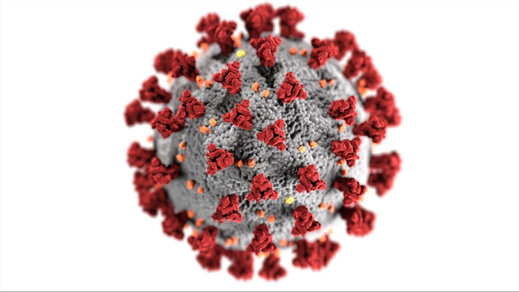 SARS-CoV-2病毒
