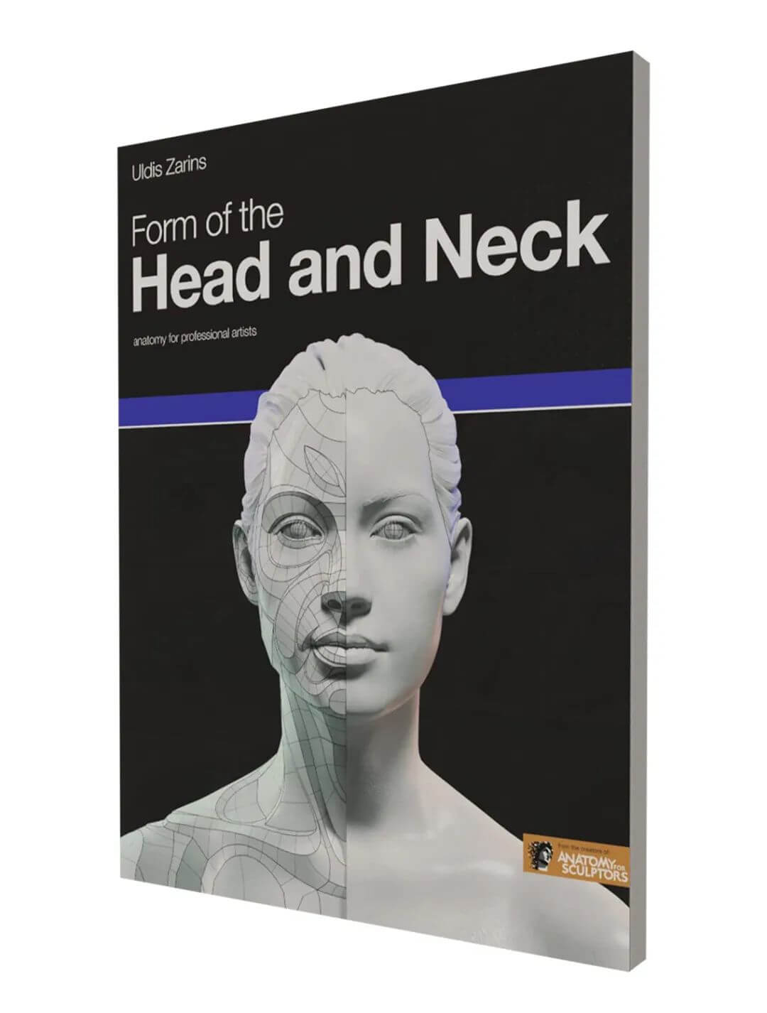 《Form of the Head and Neck》
