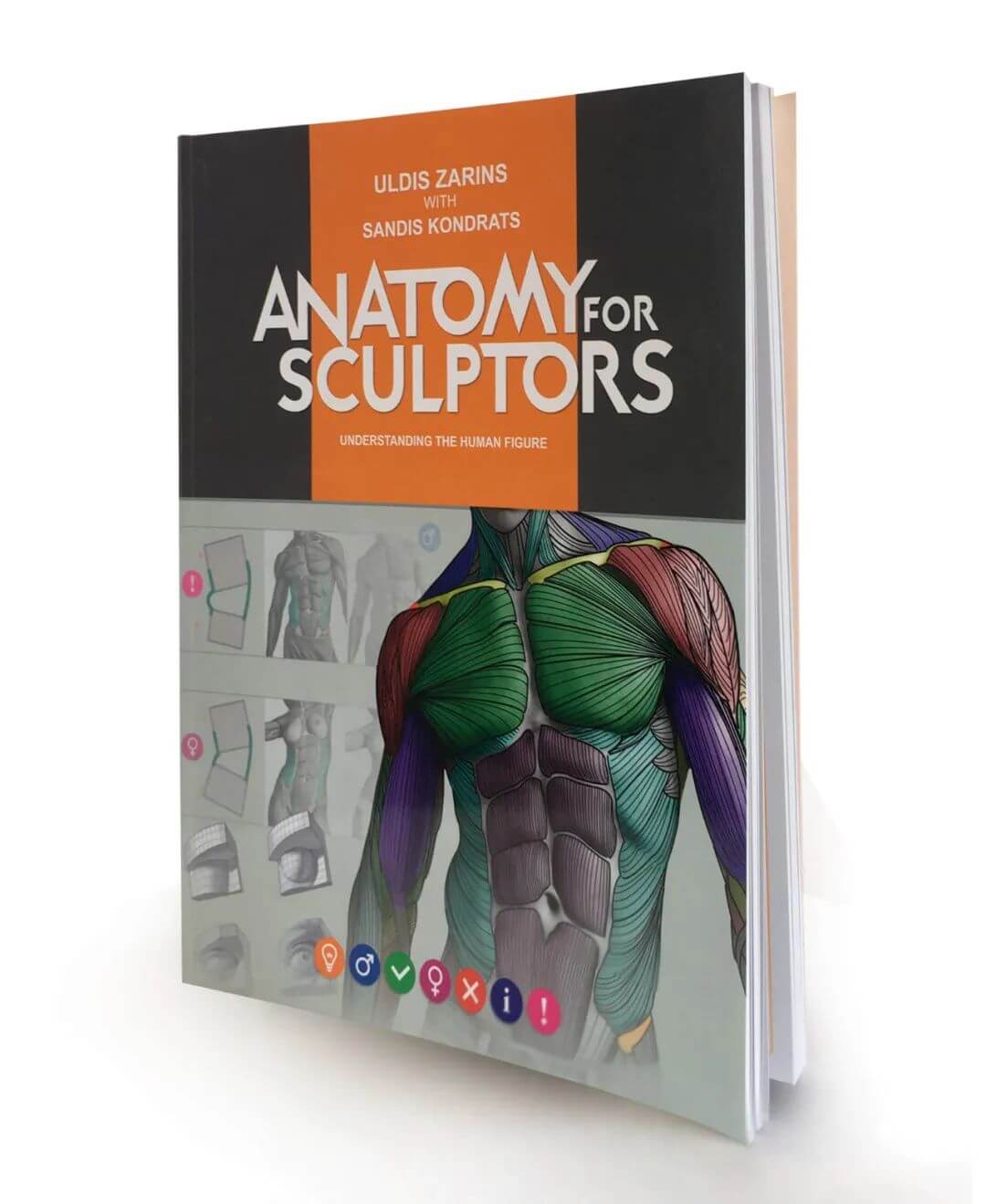 《Anatomy for Sculptors》