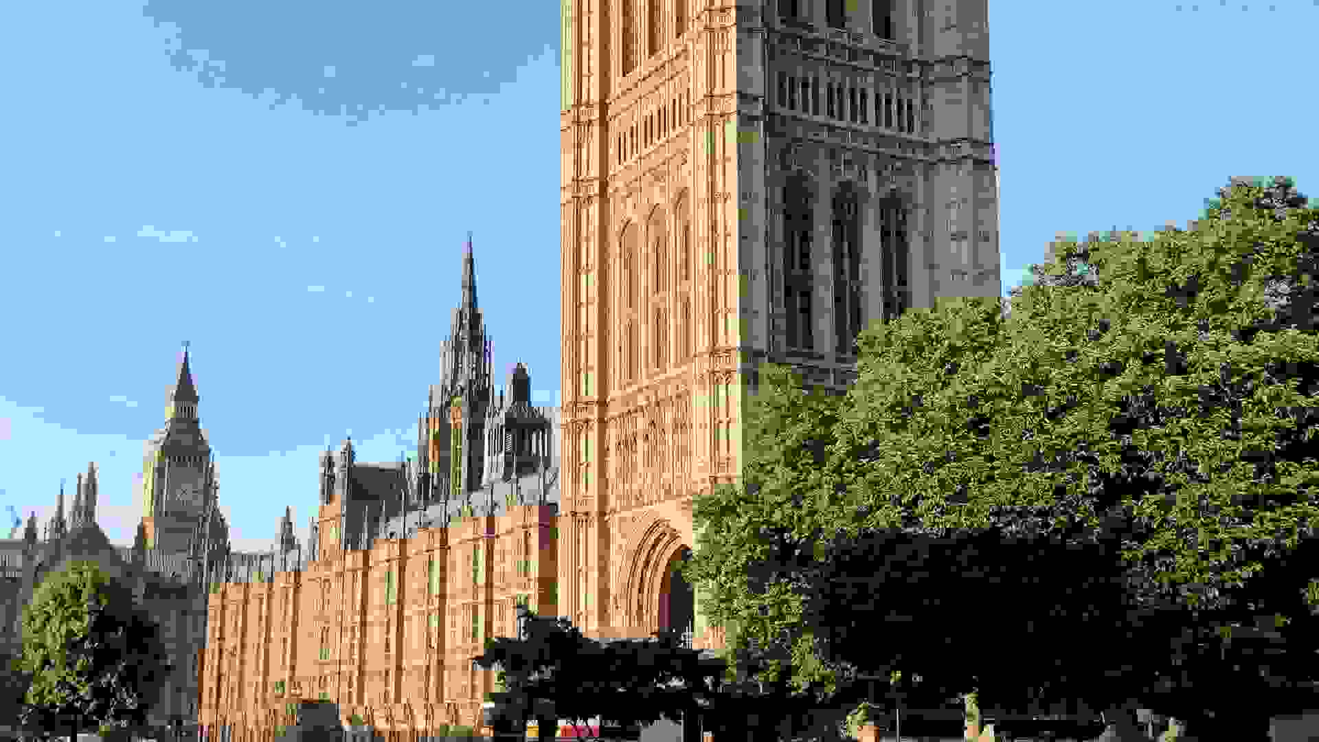 The Palace of Westminster seen from Abingdon Street Gardens. Image: The Palace of Westminster seen from Abingdon Street Gardens © Hansard Society / Richard Greenhill