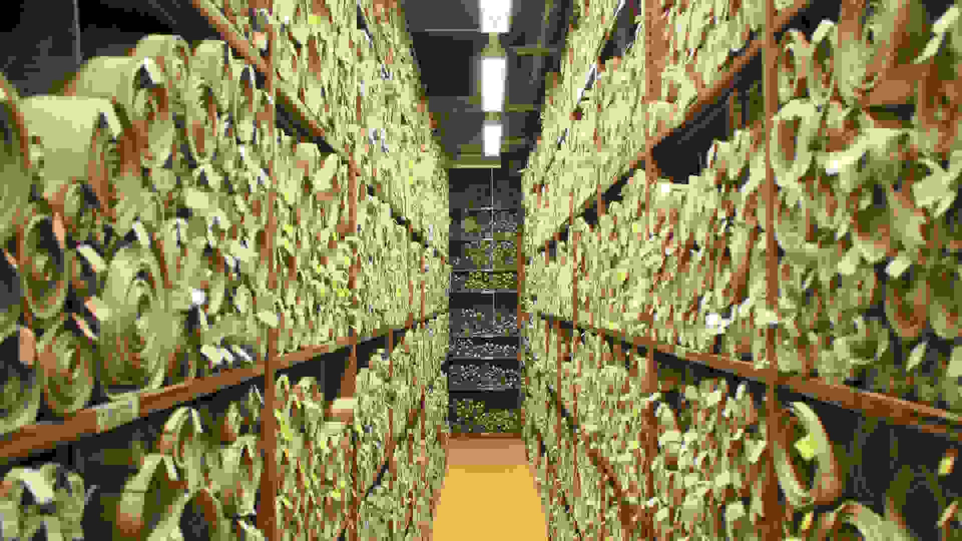 Acts of Parliament in the archives at Victoria Tower, Palace of Westminster. © Jeroen, CC by 2.0