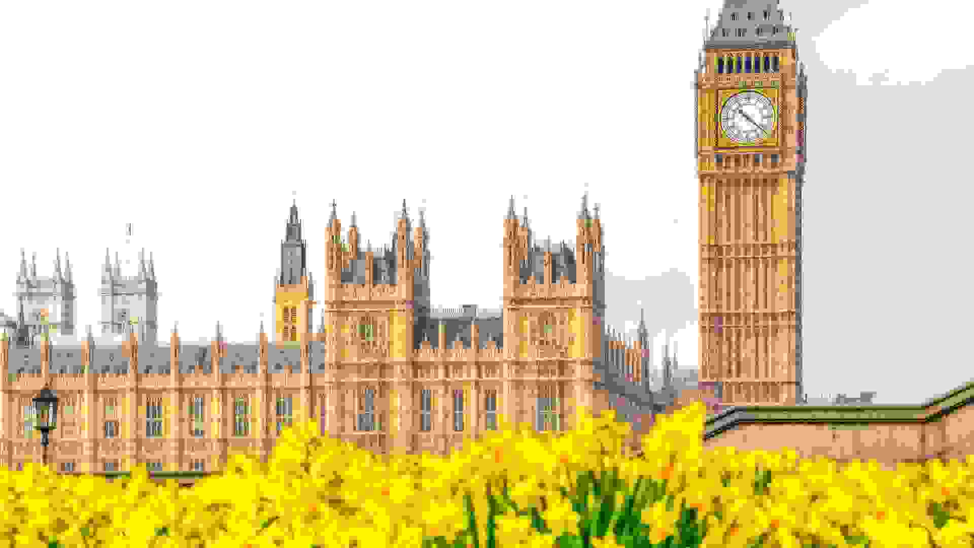 The Palace of Westminster seen from the gardens of St Thomas’ Hospital. Image: The Palace of Westminster seen from the gardens of St Thomas’ Hospital © Pawel Pajor / stock.adobe.com