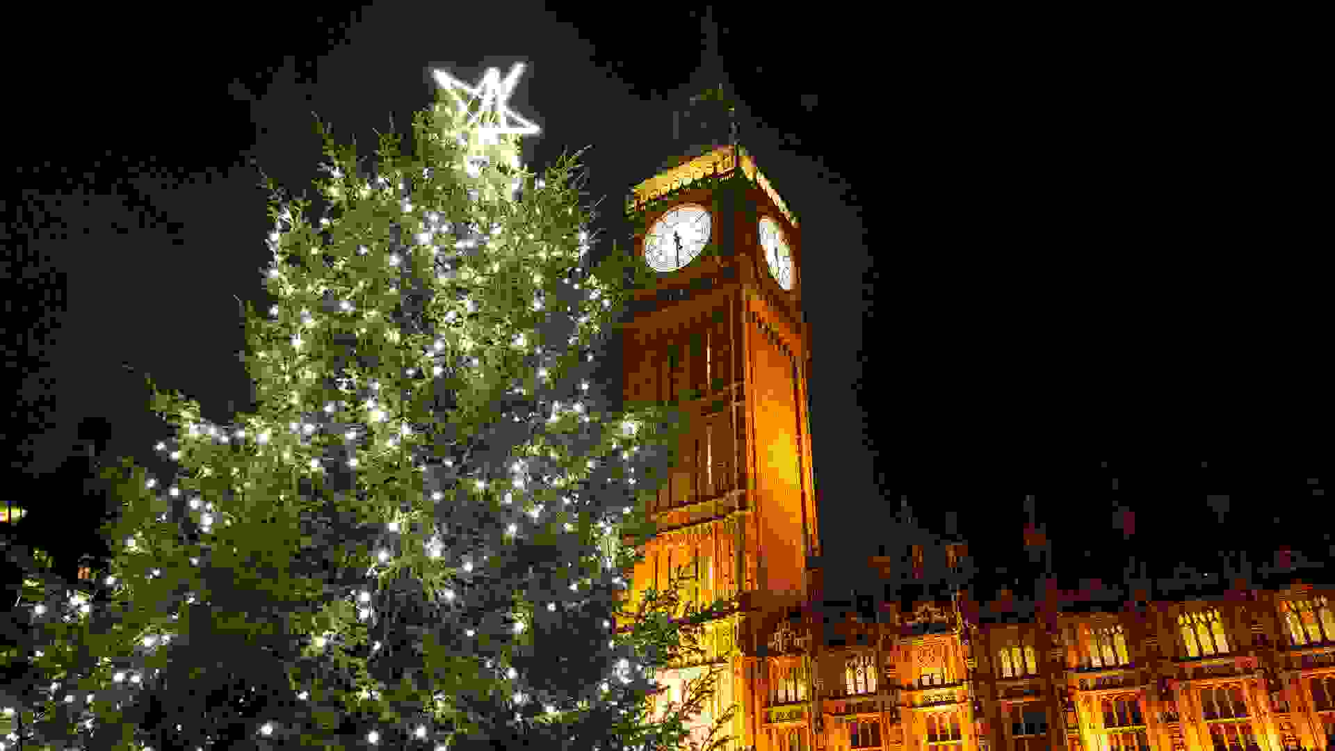 The Christmas tree in New Palace Yard. Image: The Christmas tree in New Palace Yard © House of Commons