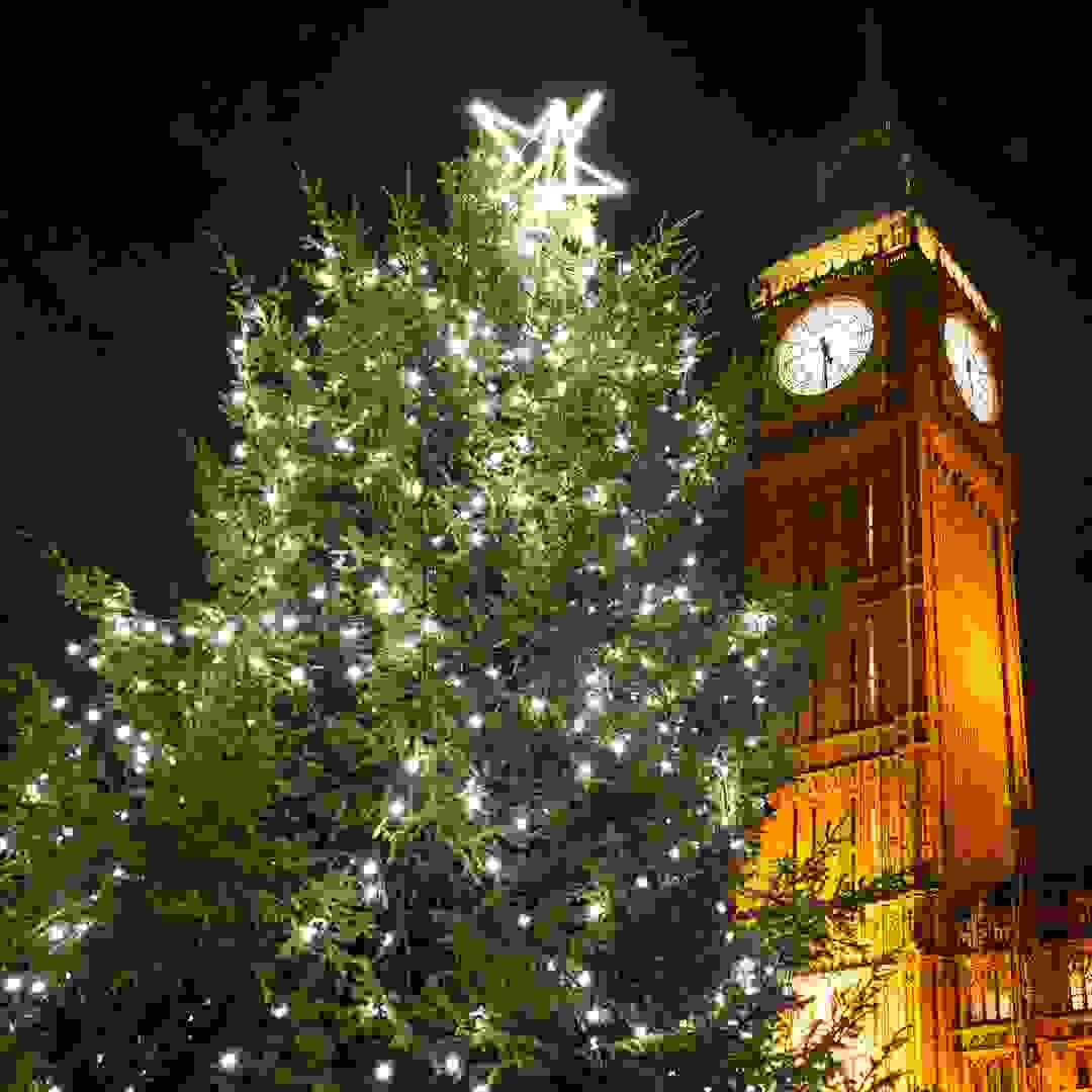 The Christmas tree in New Palace Yard. Image: The Christmas tree in New Palace Yard © House of Commons