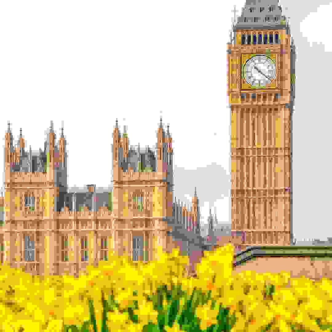 The Palace of Westminster seen from the gardens of St Thomas’ Hospital. Image: The Palace of Westminster seen from the gardens of St Thomas’ Hospital © Pawel Pajor / stock.adobe.com