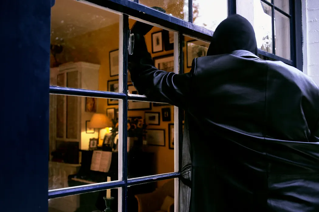 3 126 What-Is-a-Cat-Burglar Desktop