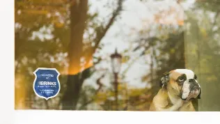 An extra layer of security to your doors and windows using our wireless glass break detectors