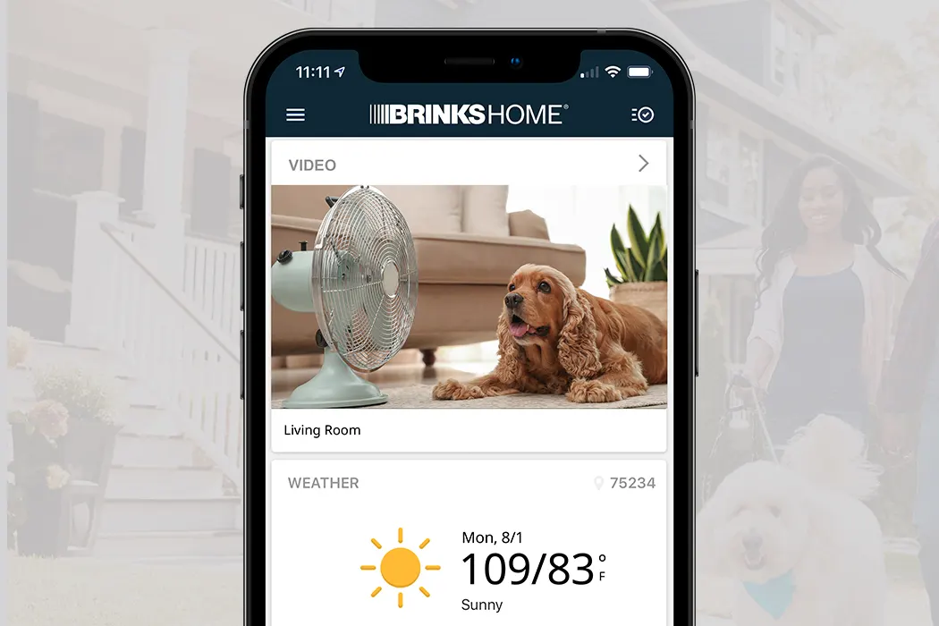 2023 Brinks Home branded app view with pet (dog) in view-indoor camera-Blog format