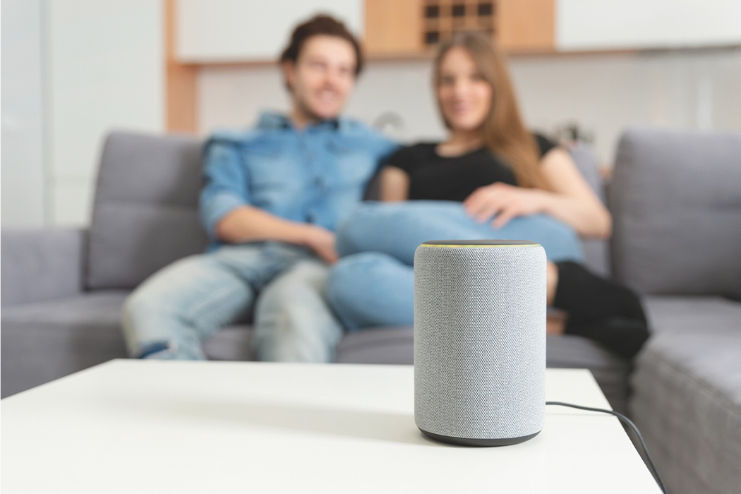 can echo work without internet