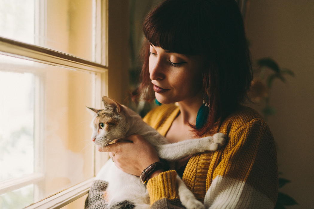 cat-home-alone desktop