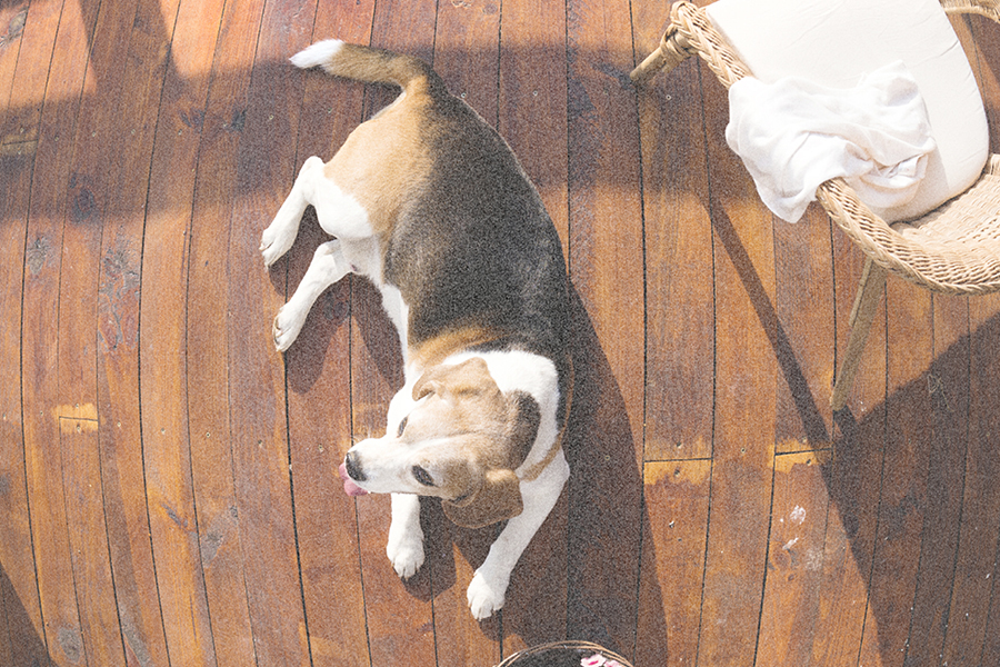 How Long Do Home Security Cameras Keep Footage?