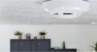 Role of Carbon Monoxide 