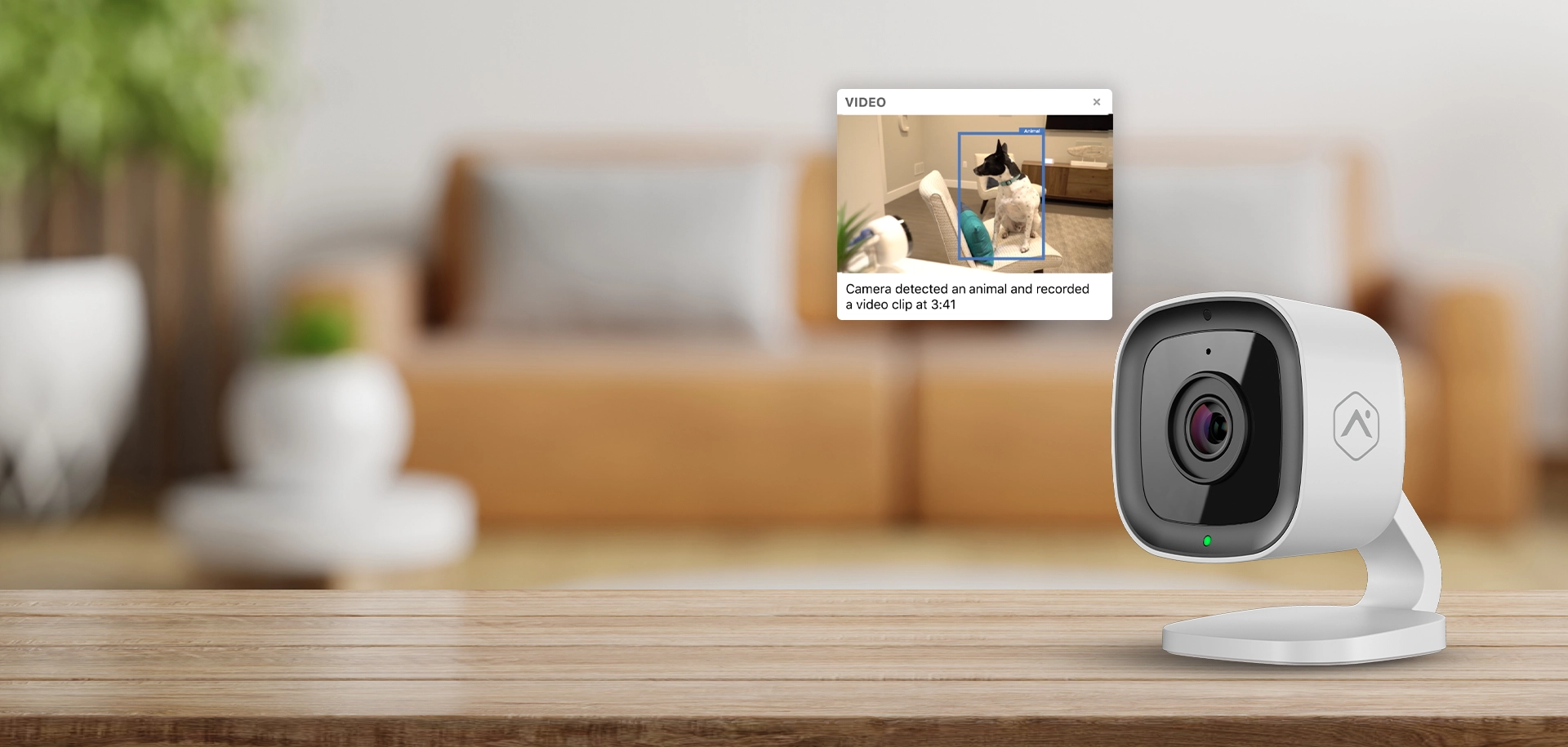 Indoor Cameras Hero Desktop Small