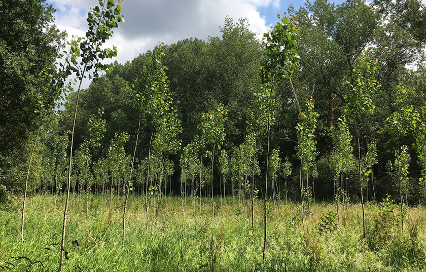 BE Sign Up Afbeeldingen 840x537 GroenePropositie 2025M09 V2