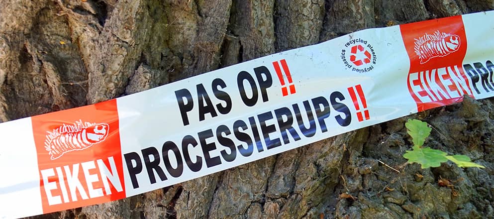 Lint dat waarschuwt voor de processierups