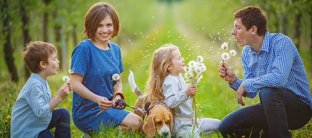 Familie in het gras met paardenbloemen