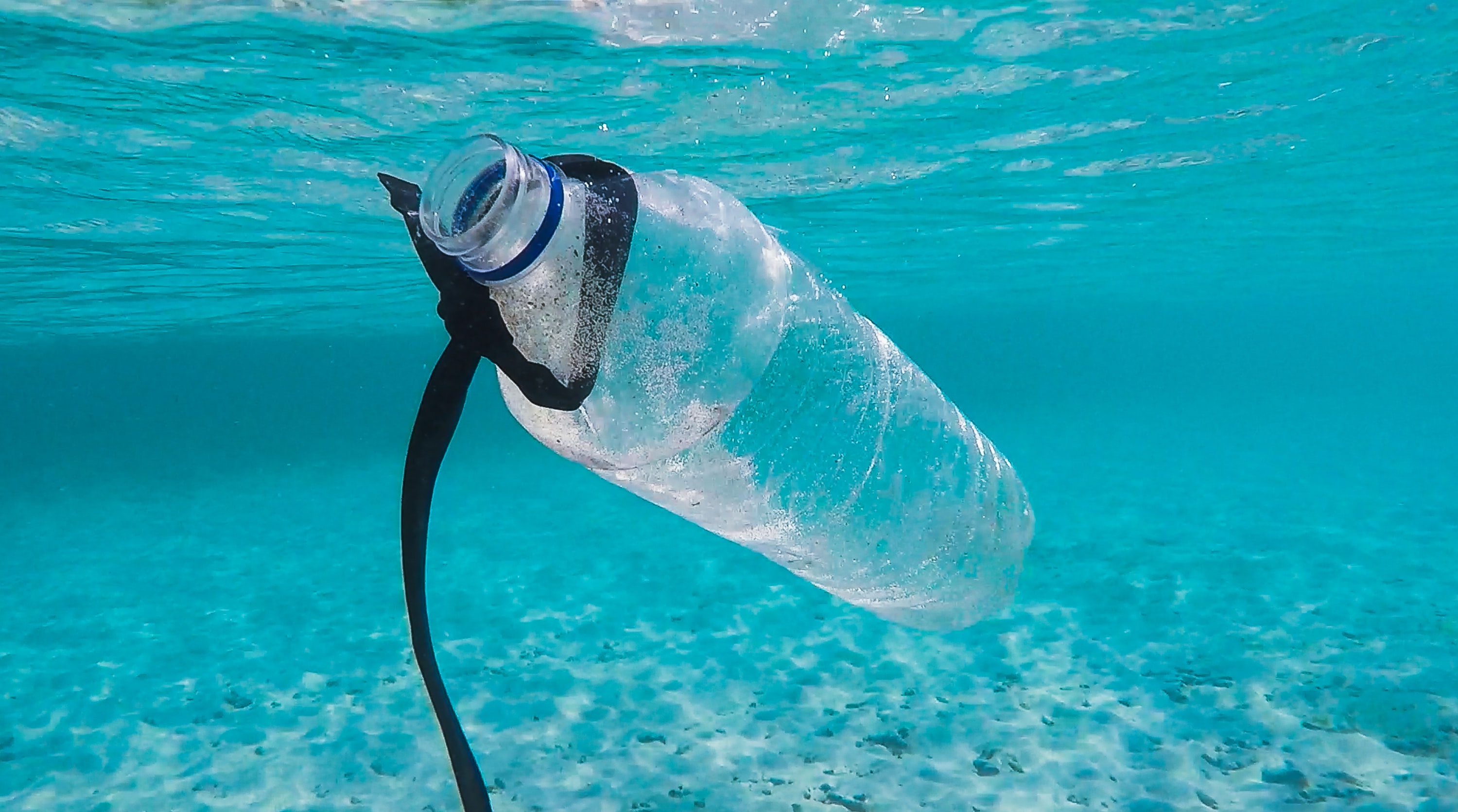 Save money, emissions and the ocean by trading off plastic bottles with a water disinfection system. As a result, the ship will be sustainable and the substantial recurring cost of plastic bottles will disappear. 