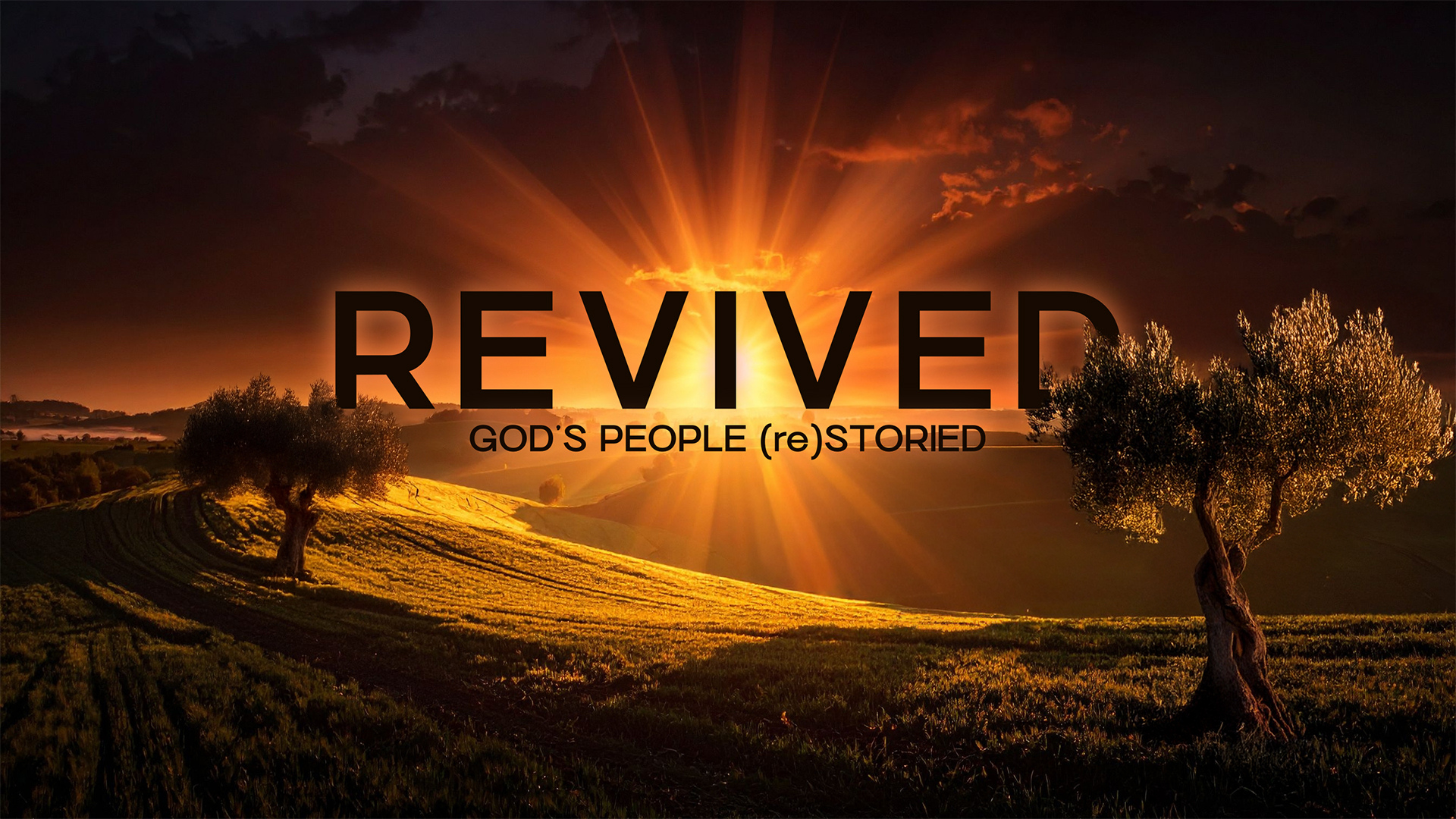 Revived: God's People (re)Storied
