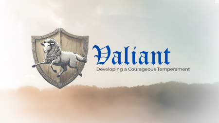 Valiant - Developing a Courageous Temperament