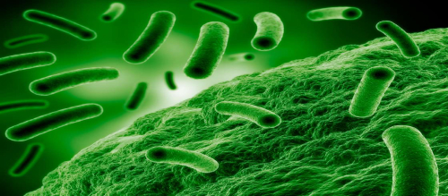 AHRO Starts an Antimicrobial Resistance Research Group