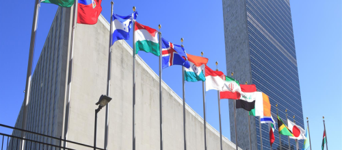 AHRO to Attend UN Meeting on TB