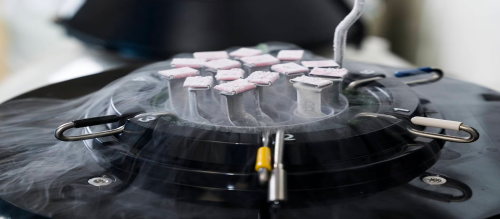 Little evidence that IVF conception heightens future pregnancy risks