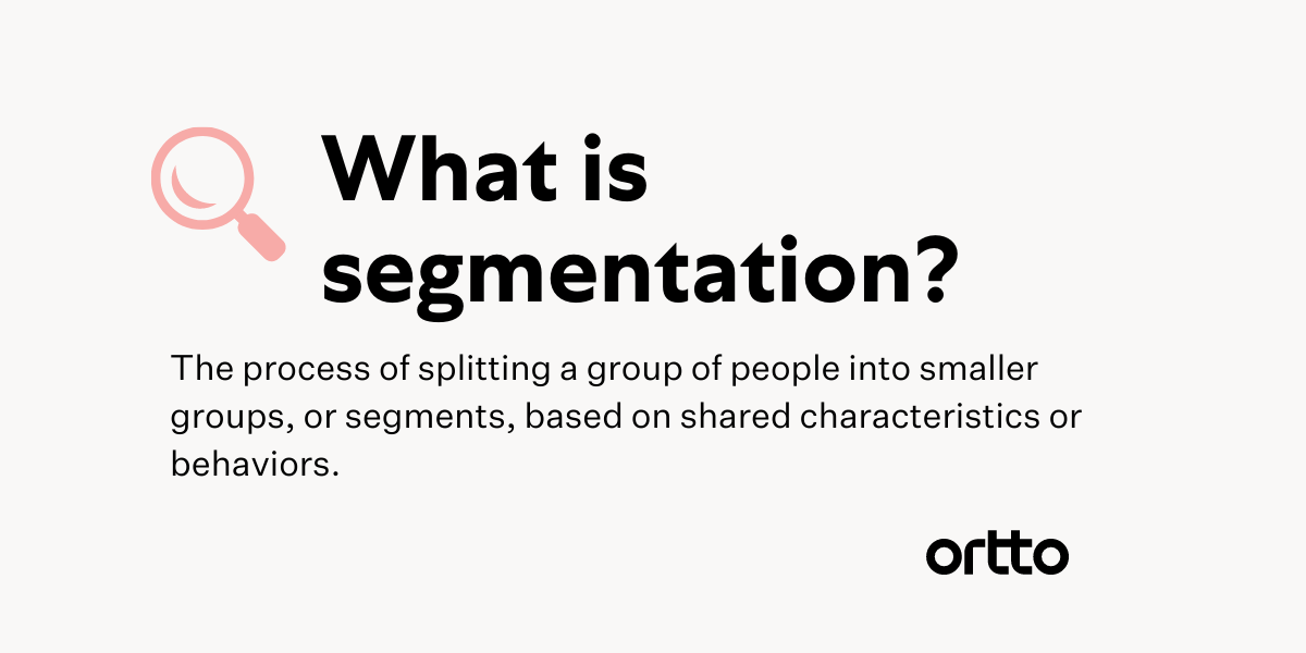 audience segmentation definition 