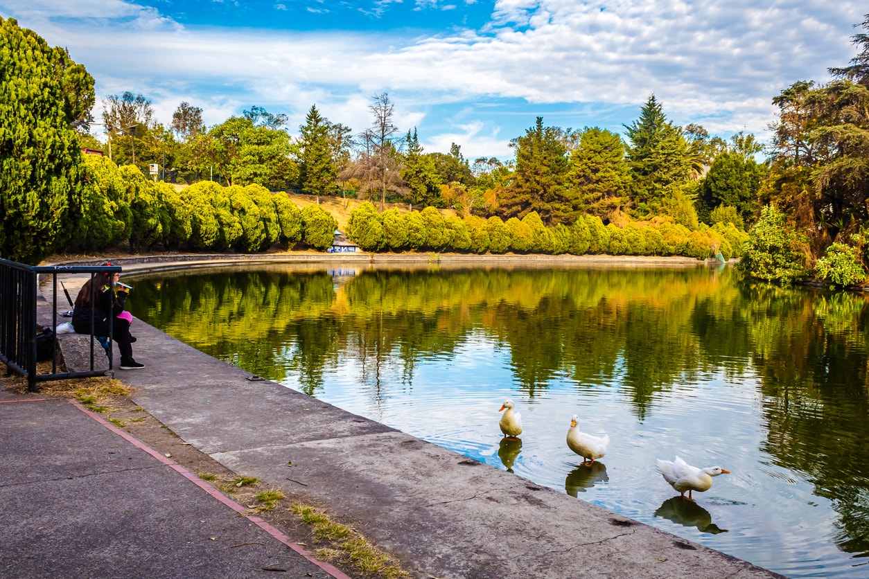 Mujer disfrutando la vista del lago de Chapultepec
