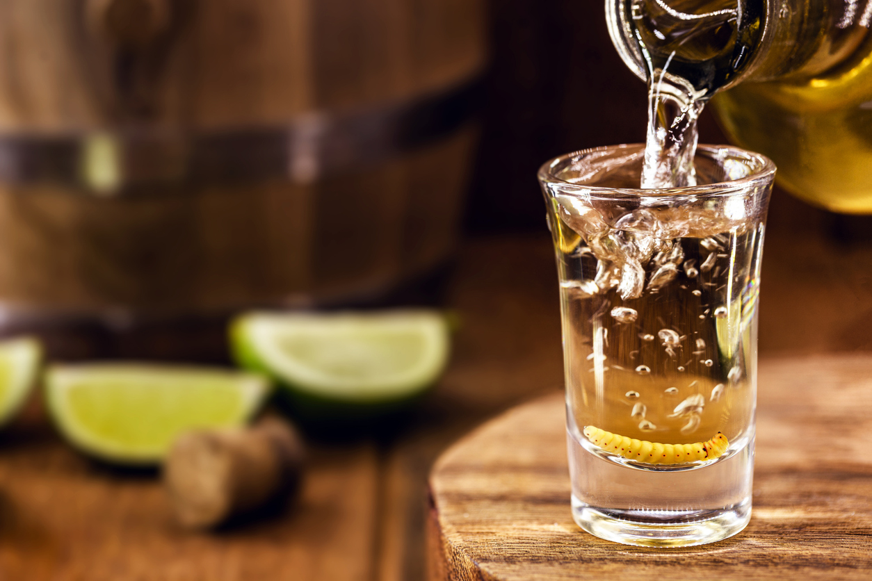  Ya sea que estés buscando cómo hacer una mezcalita sencilla, un cóctel con frutas, o experimentar con tés y refrescos, el mezcal siempre tiene algo que ofrecer. 