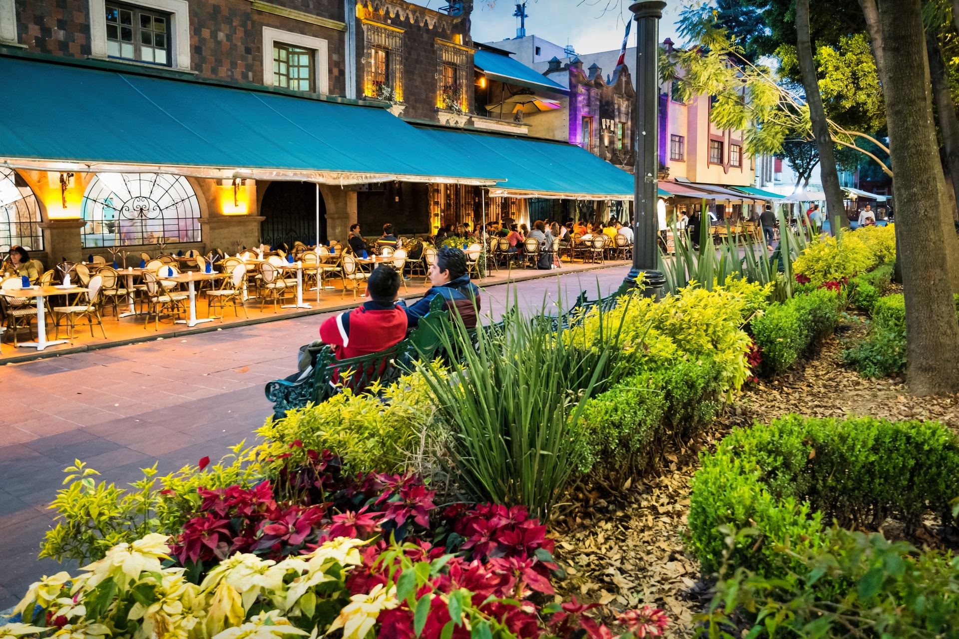 restaurantes en coyoacan con terraza