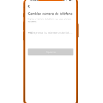 didiImage_courier8