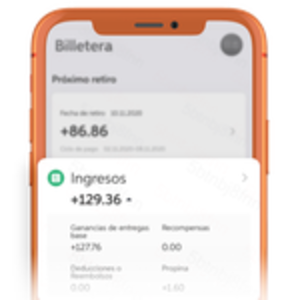 didiImage_courier0