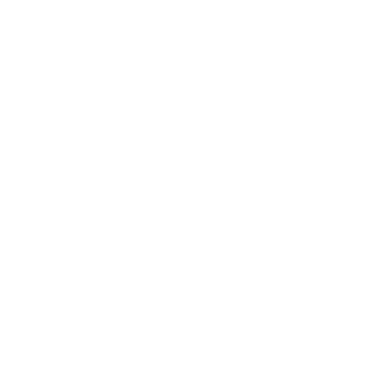 Logo de Seguridad