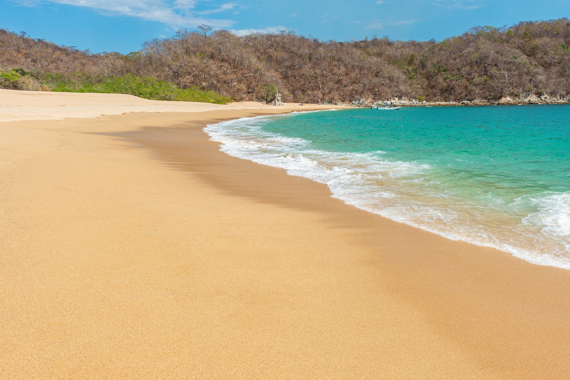 Playa El organo